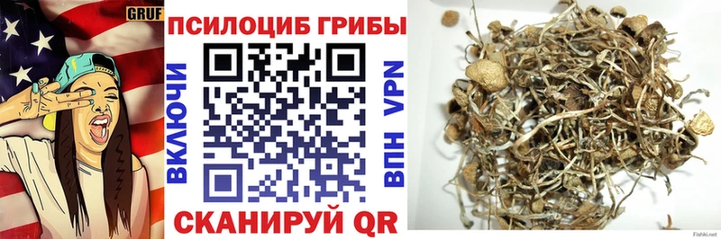 Псилоцибиновые грибы Magic Shrooms  mega рабочий сайт  Павловская 
